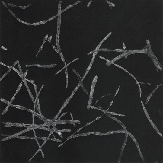 Schneckentanz 080724-1-s2